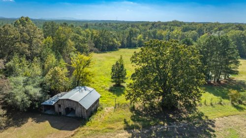 Livingston-Day-One-14