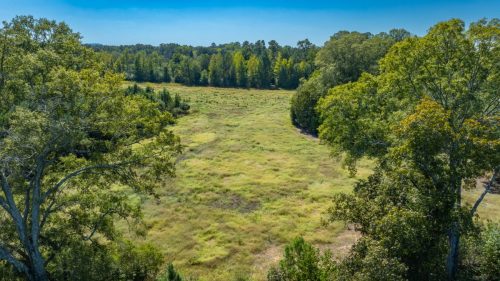 Livingston-Day-One-16