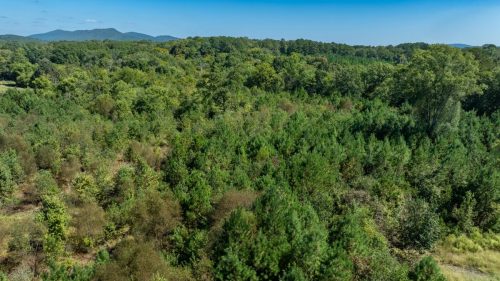 Livingston-Day-One-17