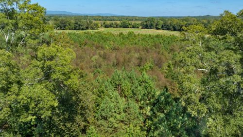 Livingston-Day-One-18