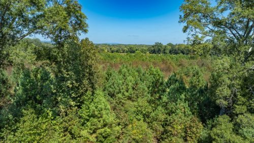 Livingston-Day-One-19