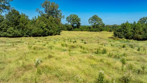 Livingston-Day-One-20