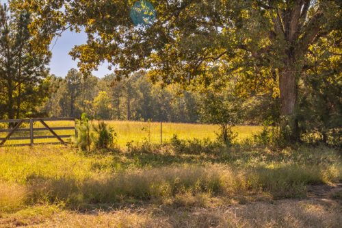 Livingston-Day-One-21