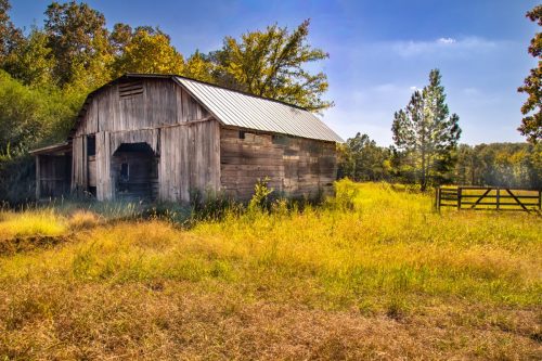 Livingston-Day-One-22