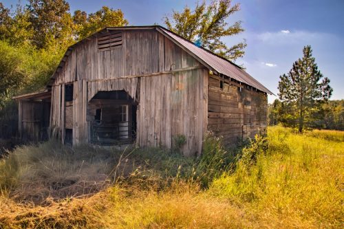 Livingston-Day-One-23