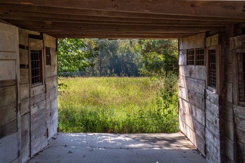 Livingston-Day-One-24