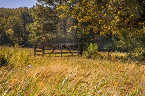 Livingston-Day-One-26