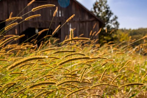 Livingston-Day-One-28