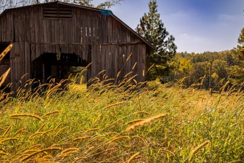 Livingston-Day-One-30