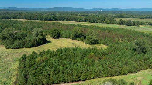 Livingston-Day-One-32