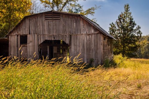 Livingston-Day-One-33