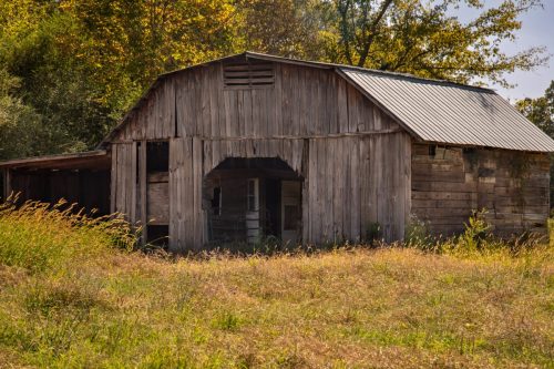 Livingston-Day-One-34