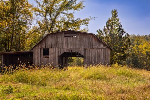 Livingston-Day-One-35