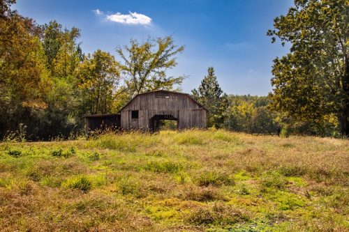 Livingston-Day-One-36