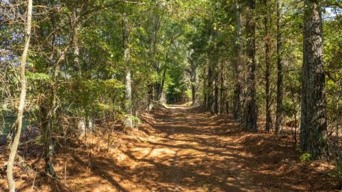 Livingston-Day-One-38