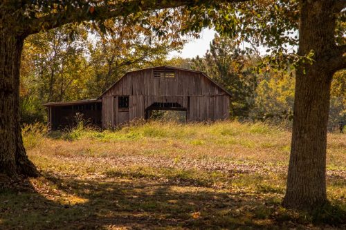 Livingston-Day-One-39