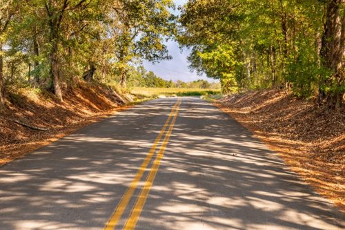 Livingston-Day-One-43