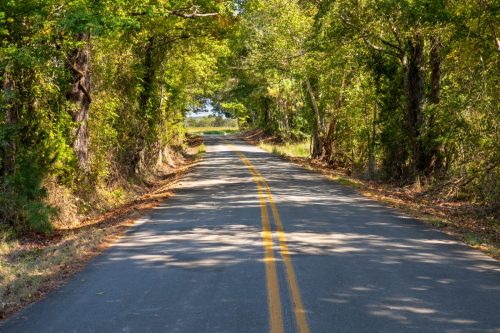 Livingston-Day-One-45