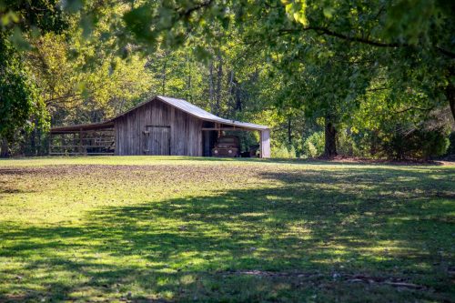 Livingston-Day-One-46