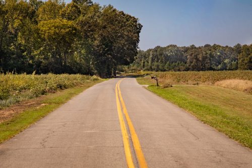 Livingston-Day-One-48