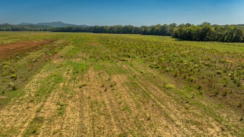 Livingston-Day-One-51