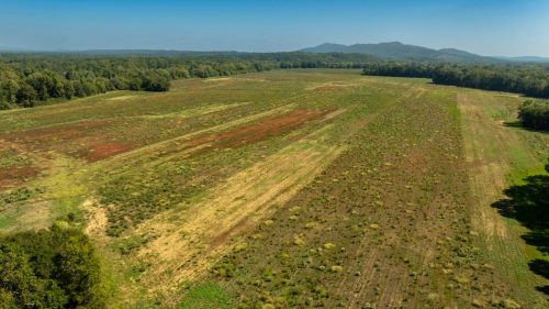 Livingston-Day-One-52