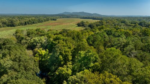 Livingston-Day-One-53