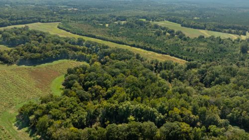 Livingston-Day-One-54