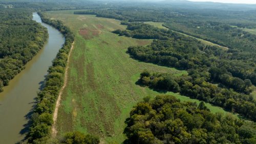 Livingston-Day-One-55