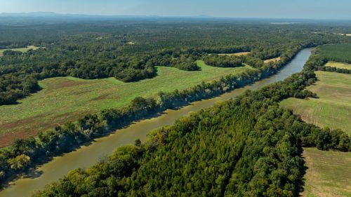 Livingston-Day-One-58