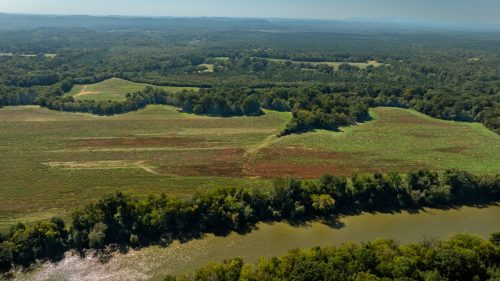 Livingston-Day-One-59