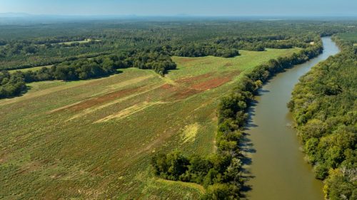 Livingston-Day-One-60