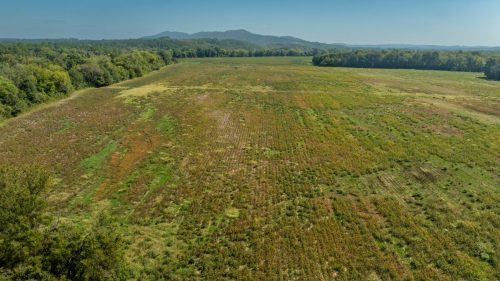 Livingston-Day-One-62