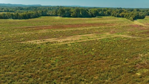 Livingston-Day-One-63