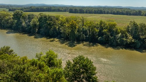 Livingston-Day-One-64