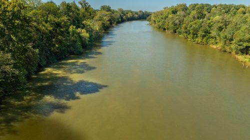 Livingston-Day-One-65