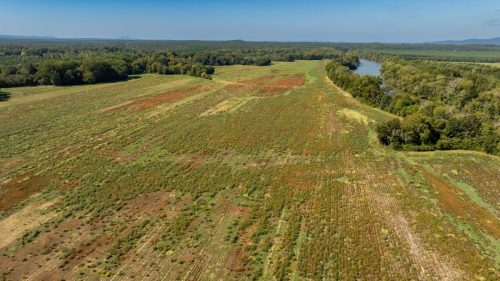 Livingston-Day-One-68