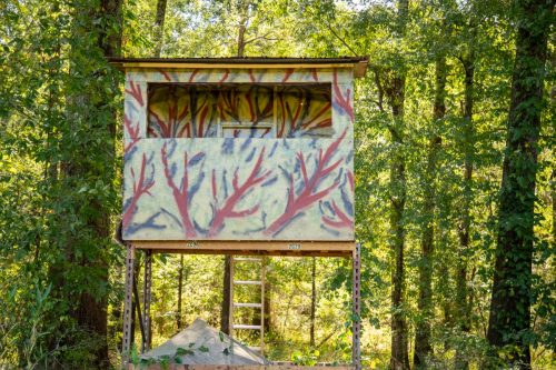 Livingston-Day-One-70