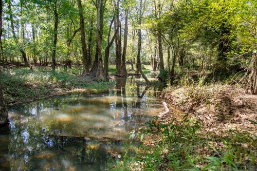 Livingston-Day-One-71