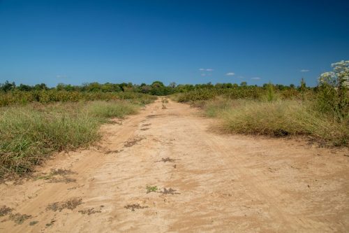 Livingston-Day-One-73