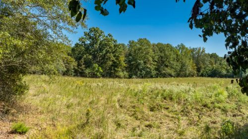 Livingston-Day-One-78