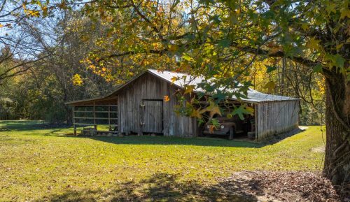 Livingston-Day-Two-084