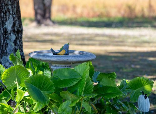 Livingston-Day-Two-088