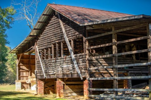 Livingston-Day-Two-092