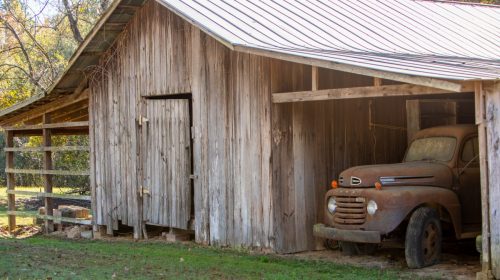 Livingston-Day-Two-095