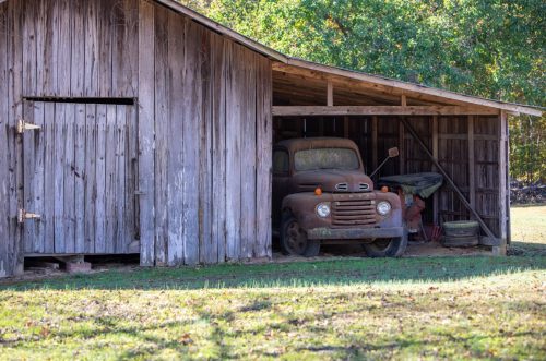 Livingston-Day-Two-096