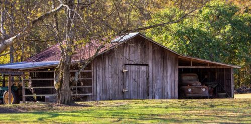 Livingston-Day-Two-097