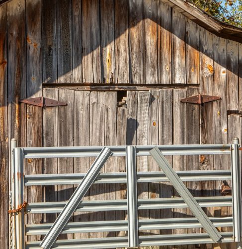 Livingston-Day-Two-098