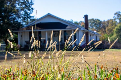 Livingston-Day-Two-106