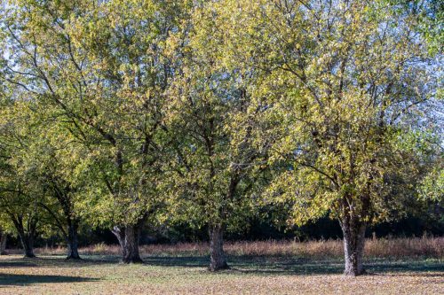 Livingston-Day-Two-107